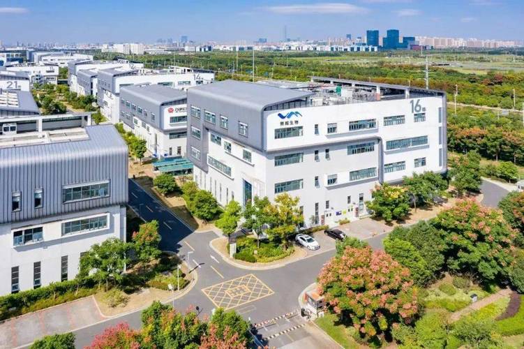 创新驱动发展，两类新批件助力医疗器械与药品双轮齐飞